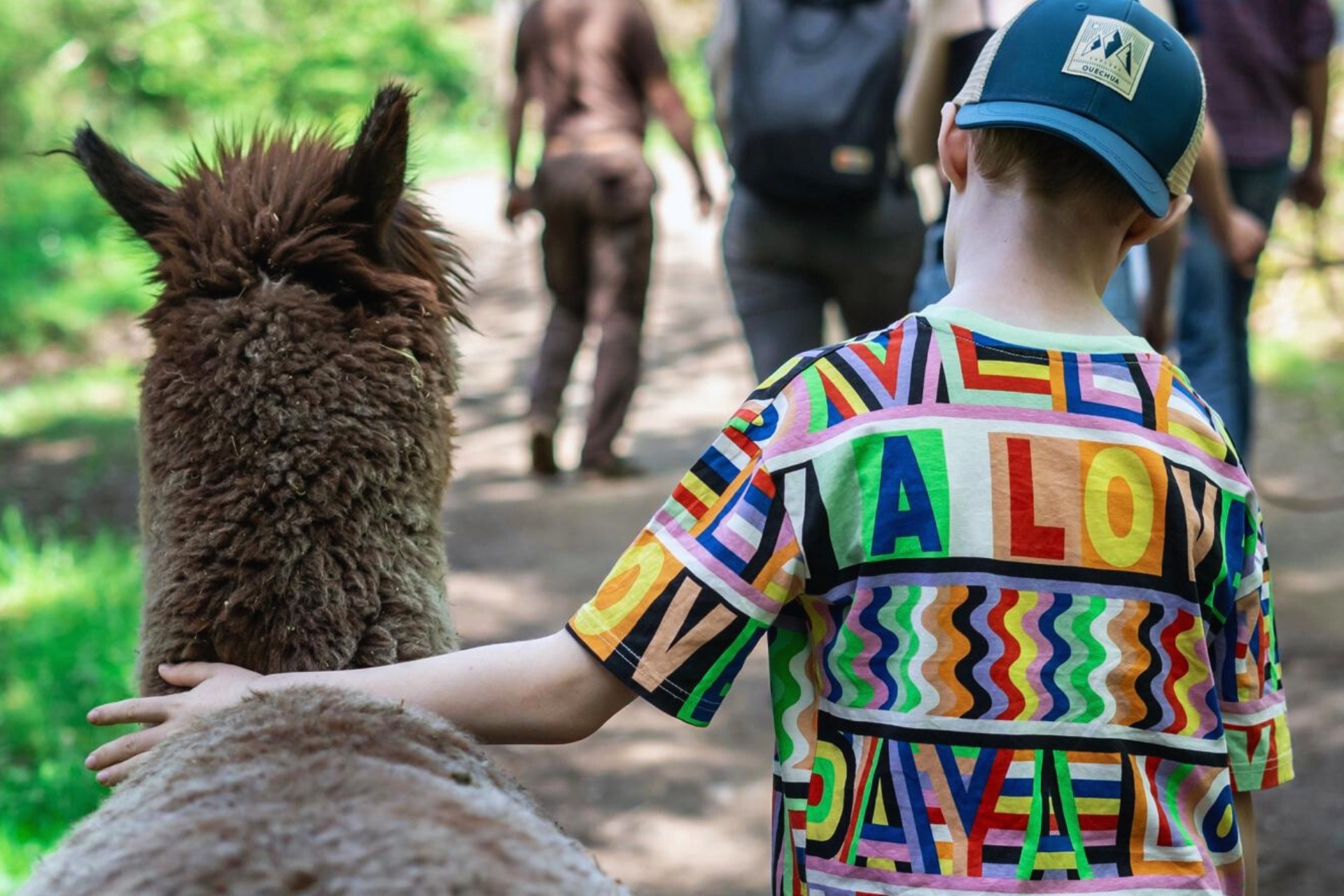 Alpaka Wanderung (Weekend)