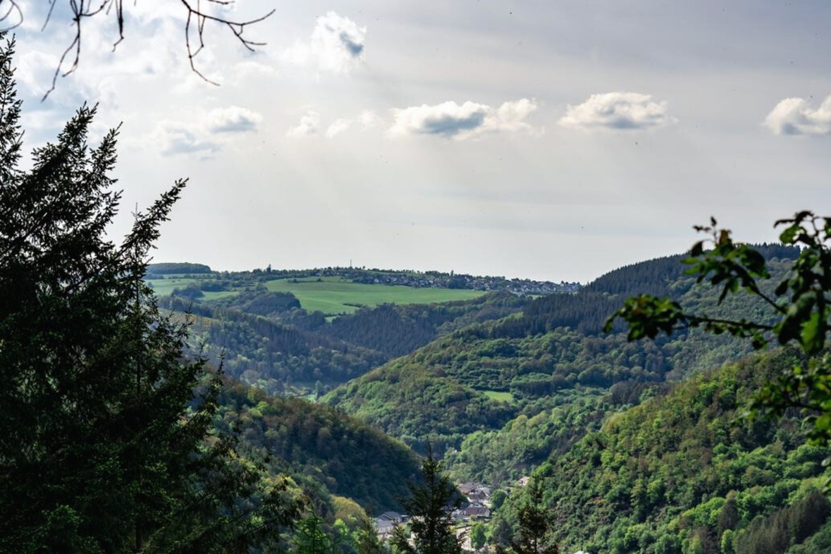 Alpaka Wanderung (Weekend)