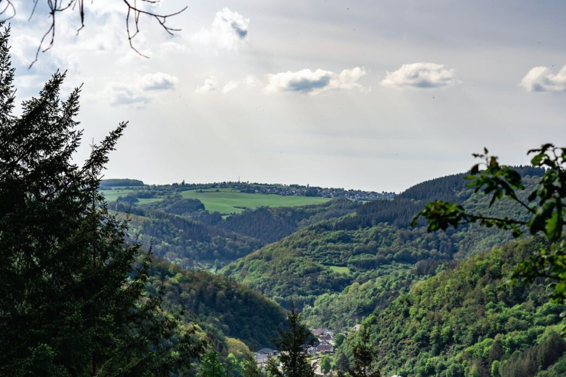 Alpaka Wanderung (Weekend)