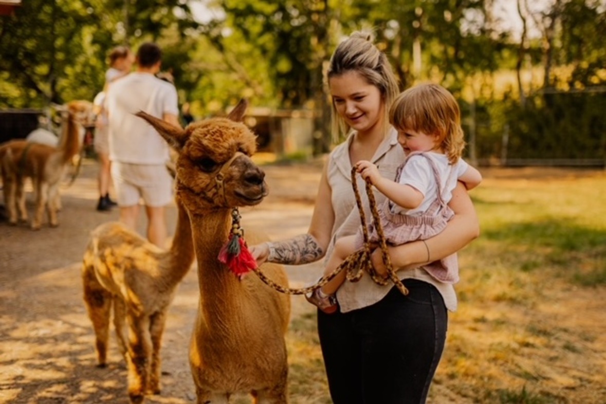 Alpaka Wanderung (Dreiherrenstein Tour)