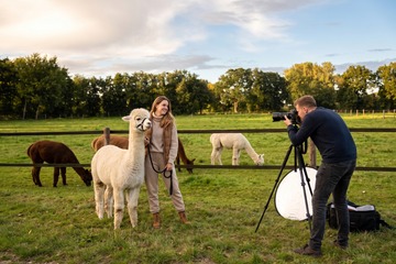 Fotoshooting mit Alpakas