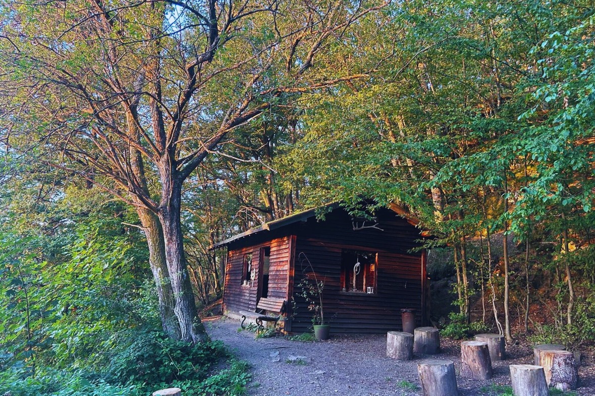 Alpaka Wanderung (Weekend)