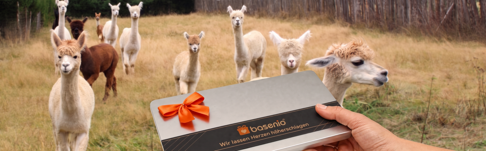 Geschenkboxen