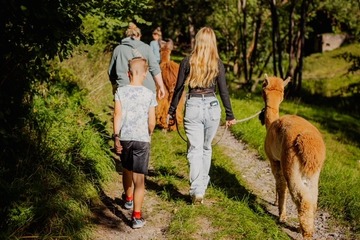 Alpaka Wanderung (Finstertal Tour)
