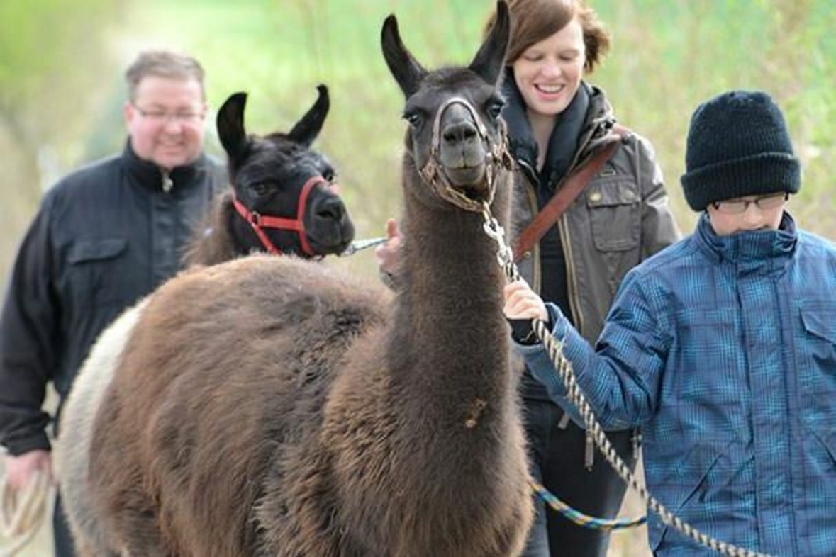 Lama Wanderung (Dreiländereck)