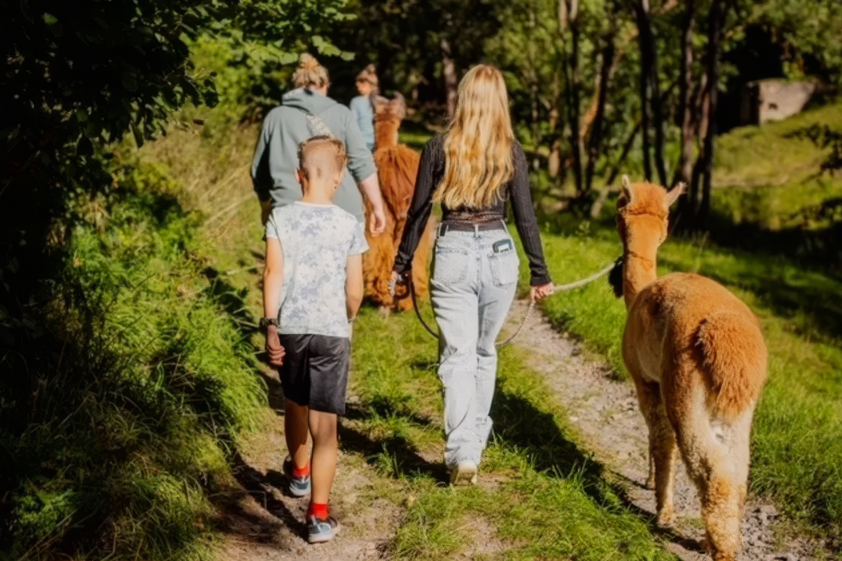 Alpaka Wanderung (Hopfengraben Tour)