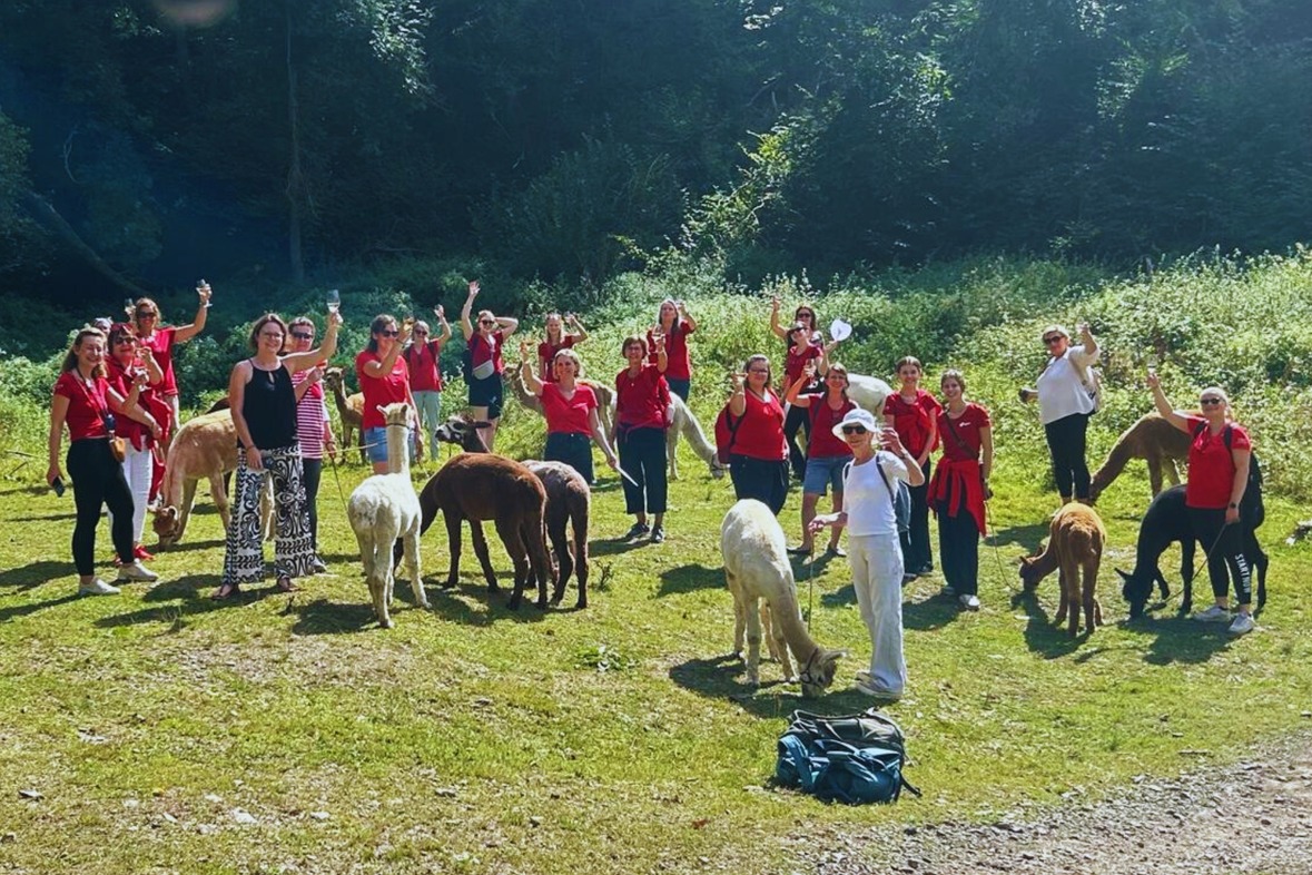 Alpaka Wanderung (Weinprobe)