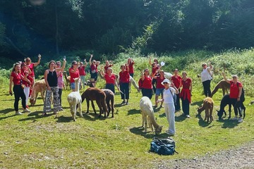 Alpaka Wanderung (Weinprobe)